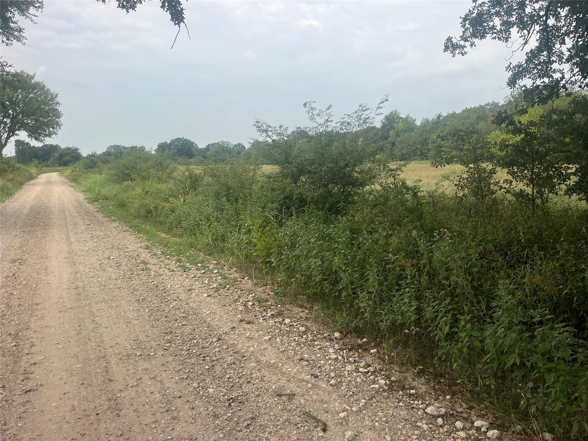 8 acres in Red River (TX) County featured view
