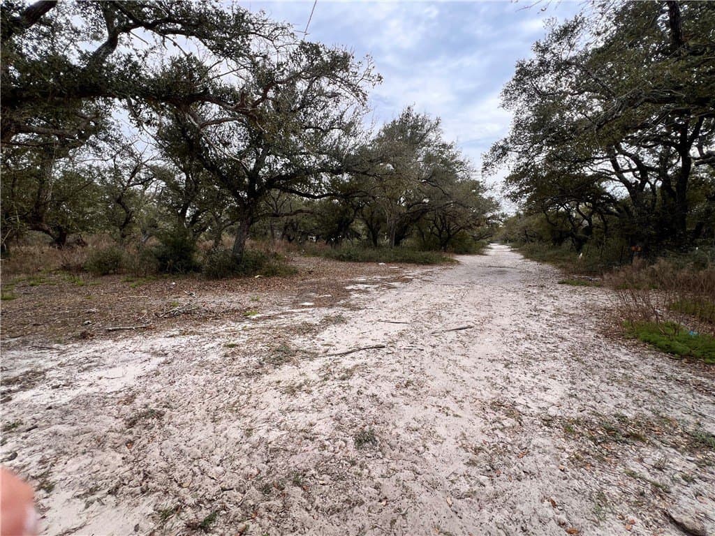 10.26 acres in Aransas County gallery image 4