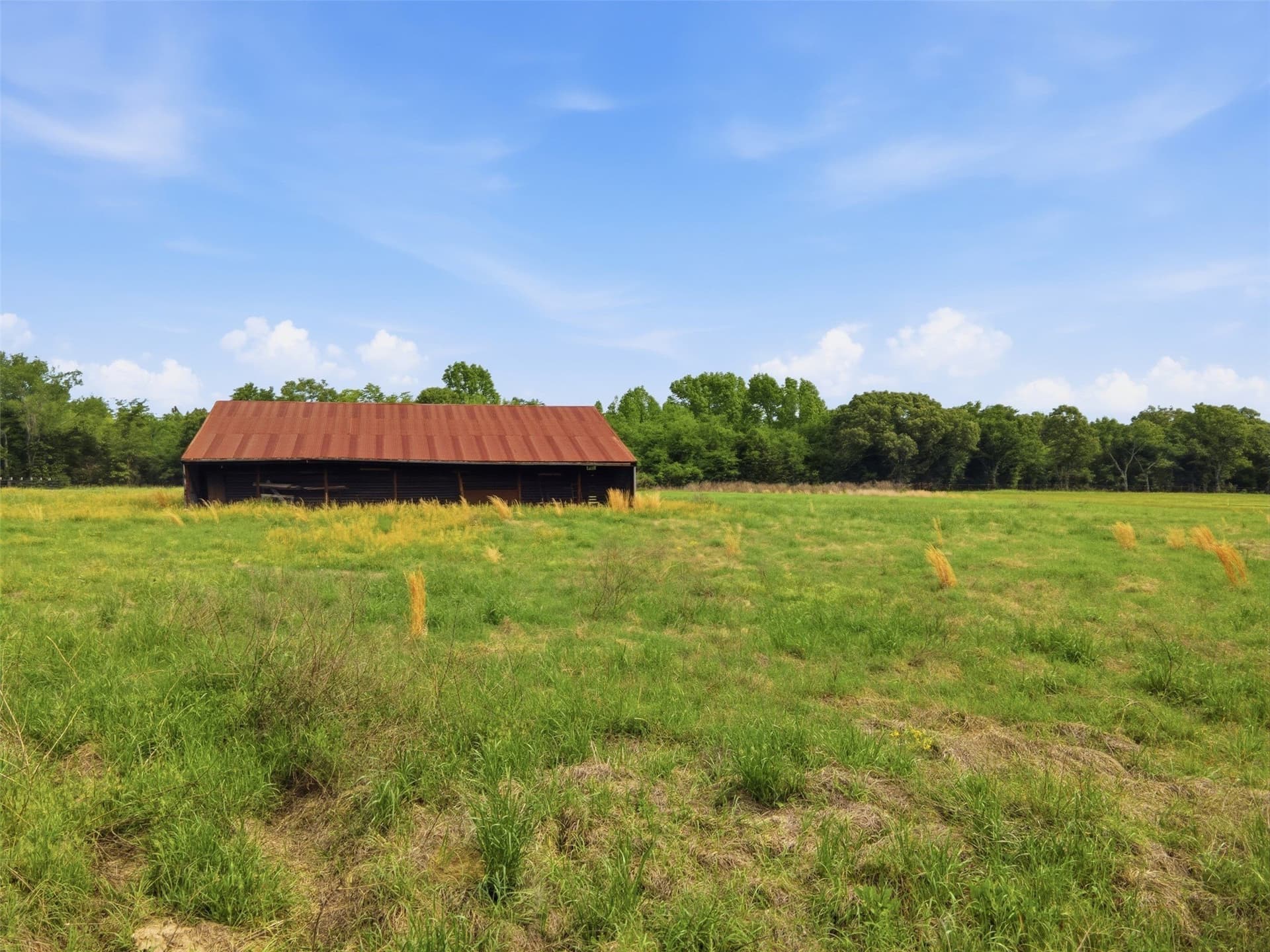 1.5 acres in Rains County - photo 8
