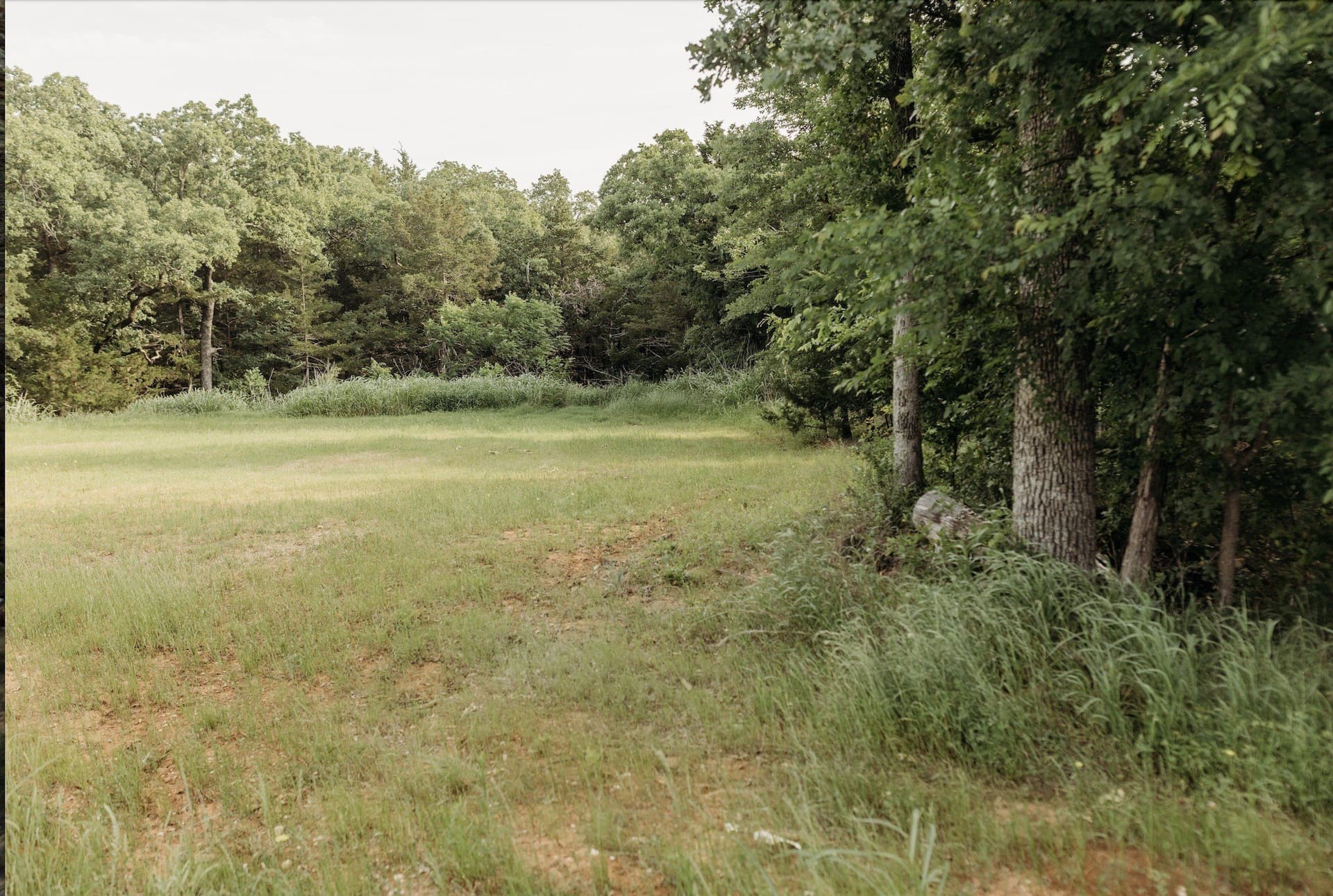 0.44 acres in Grayson County gallery image 2