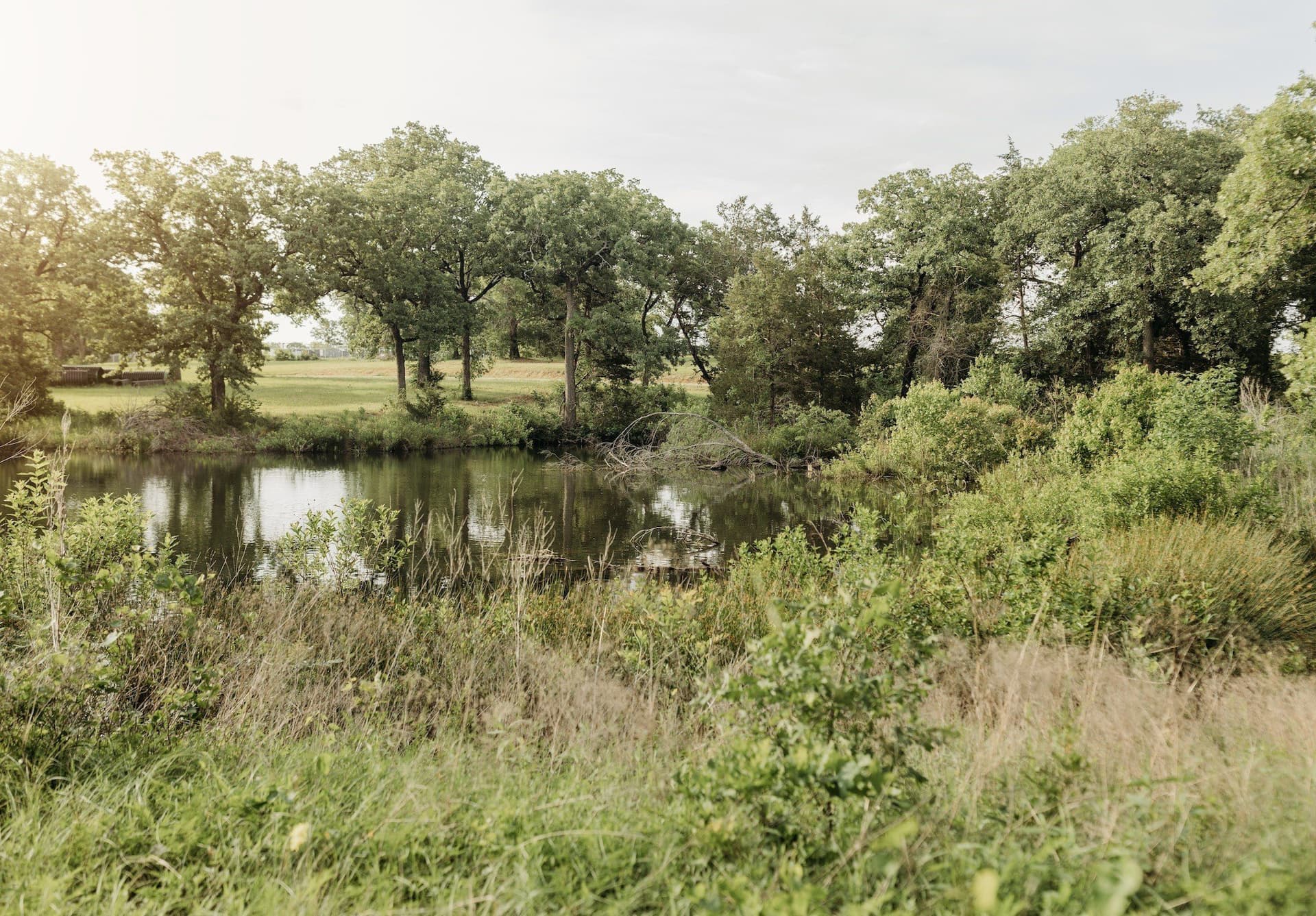 0.44 acres in Grayson County gallery image 3