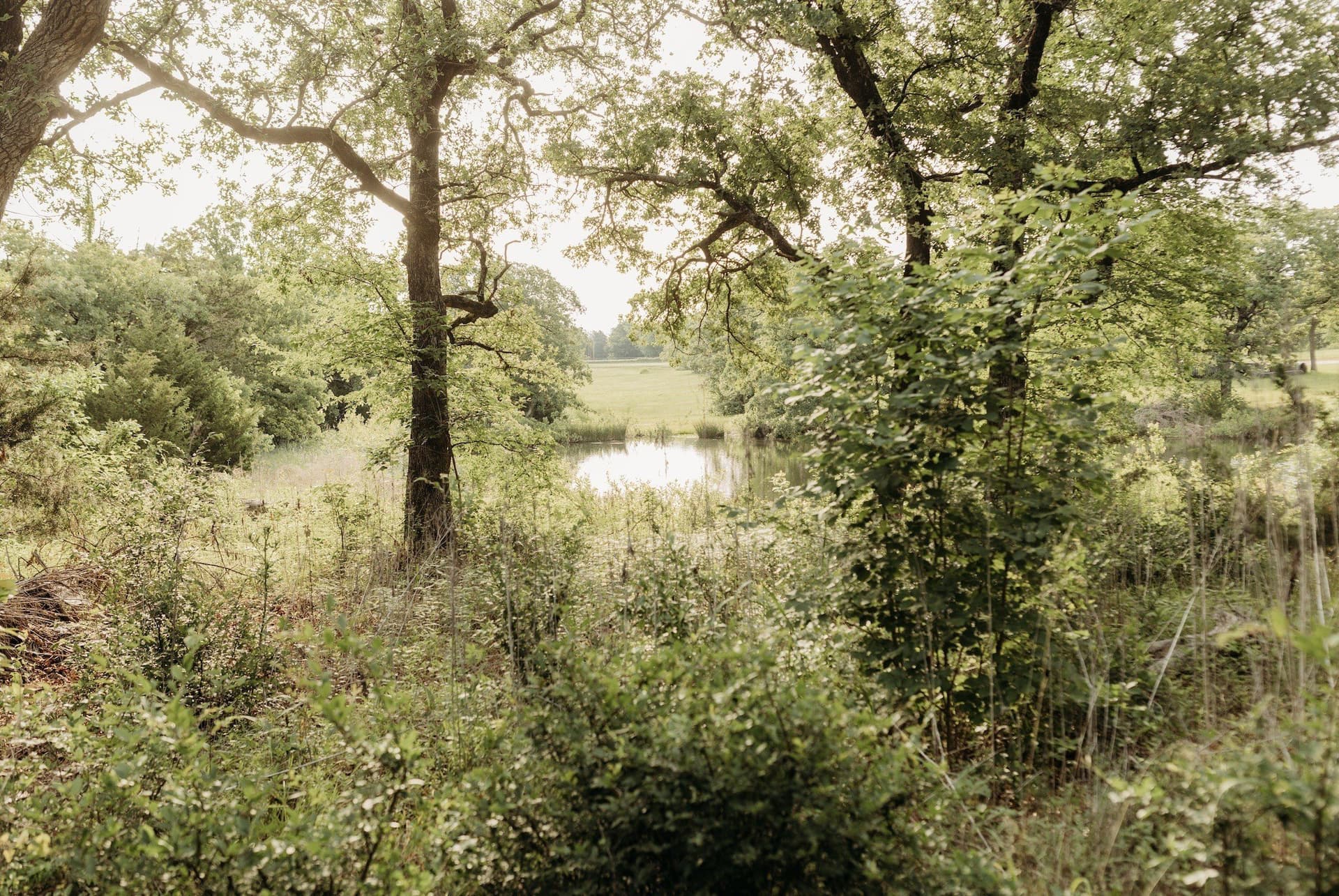 0.44 acres in Grayson County gallery image 4