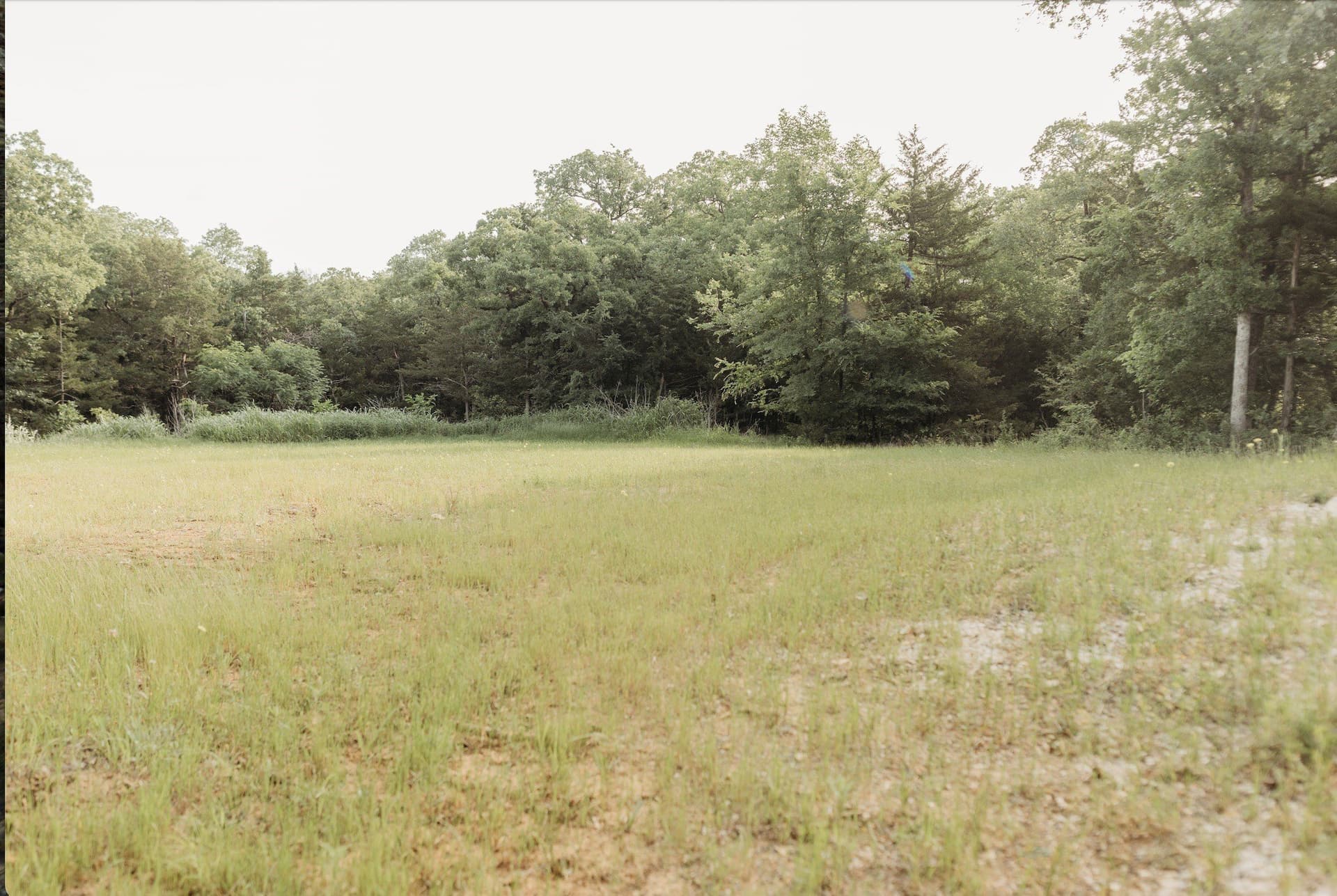 0.44 acres in Grayson County