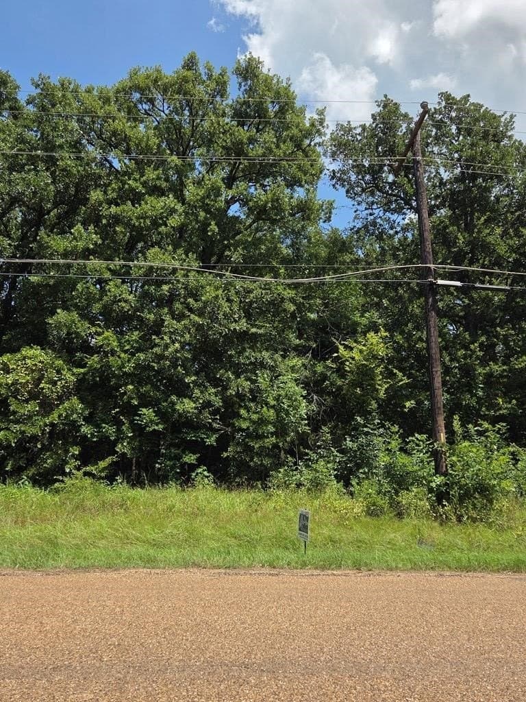 0.11 acres in Henderson County - photo 3