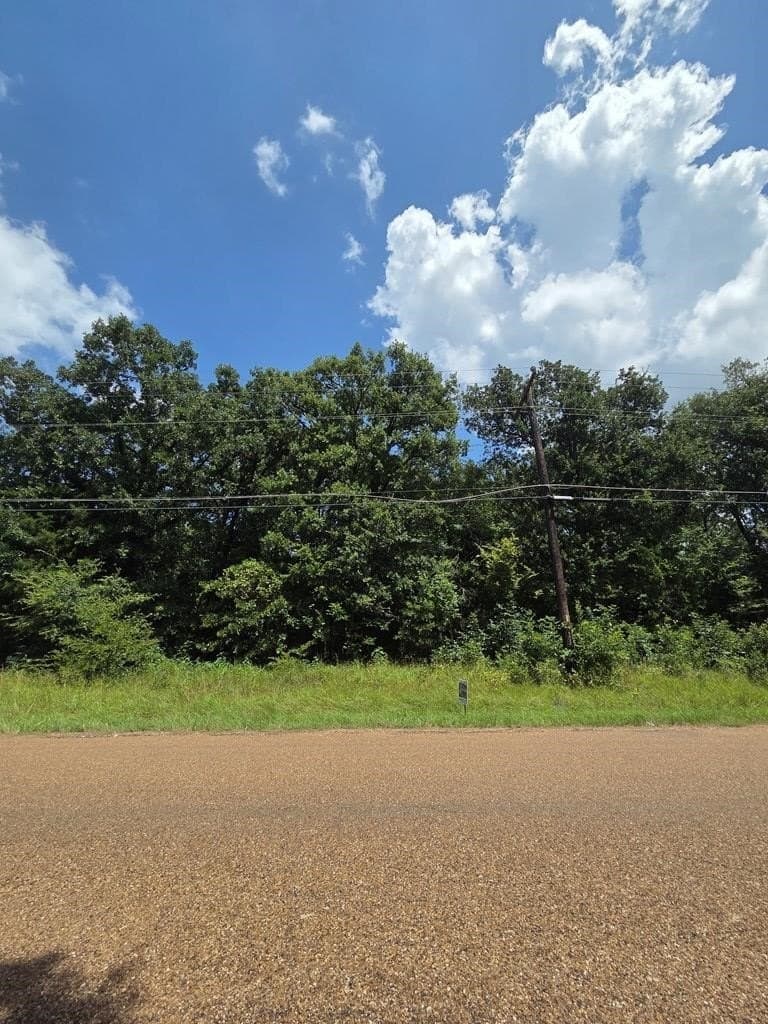 0.11 acres in Henderson County - photo 4