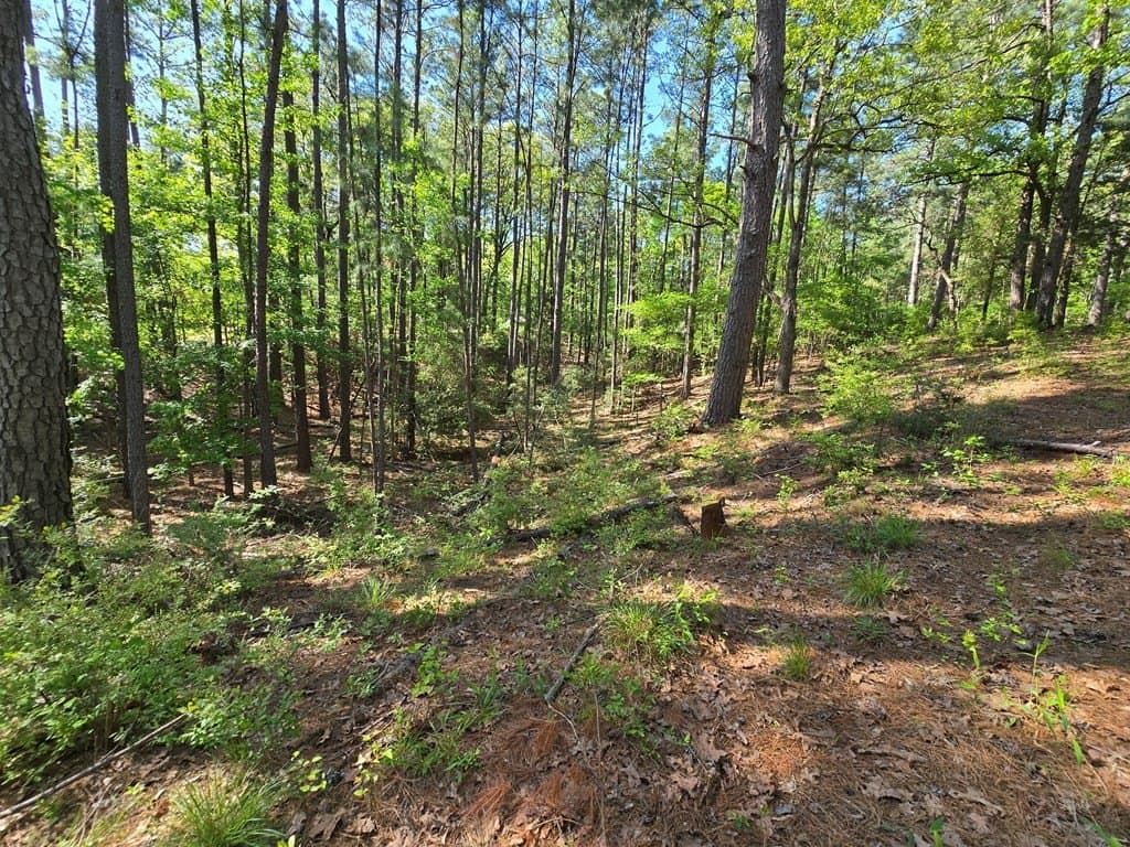 2.6 acres in ANDERSON County - photo 4