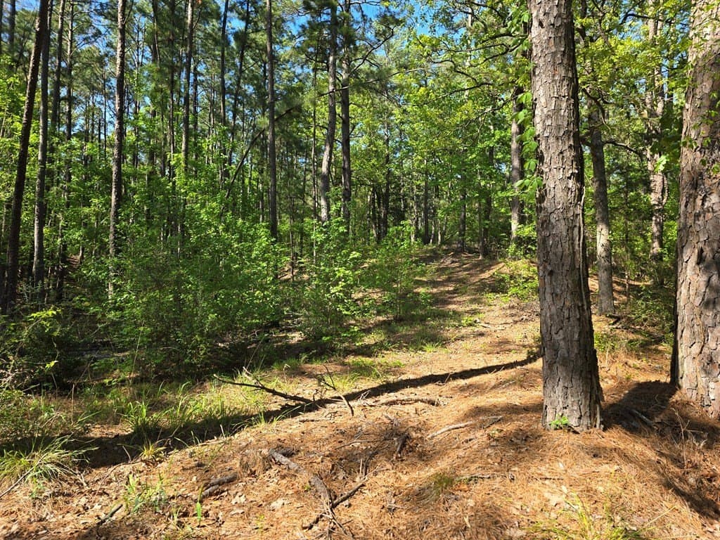 2.6 acres in ANDERSON County - photo 3