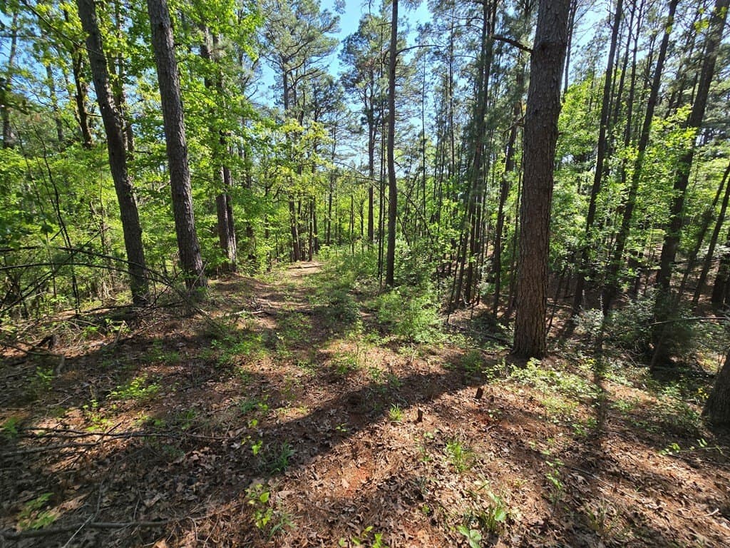 2.6 acres in ANDERSON County - photo 13