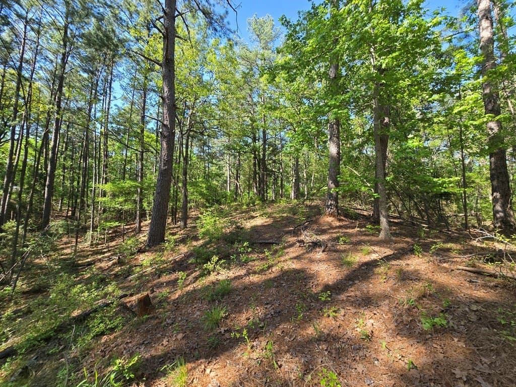 2.6 acres in ANDERSON County - photo 5