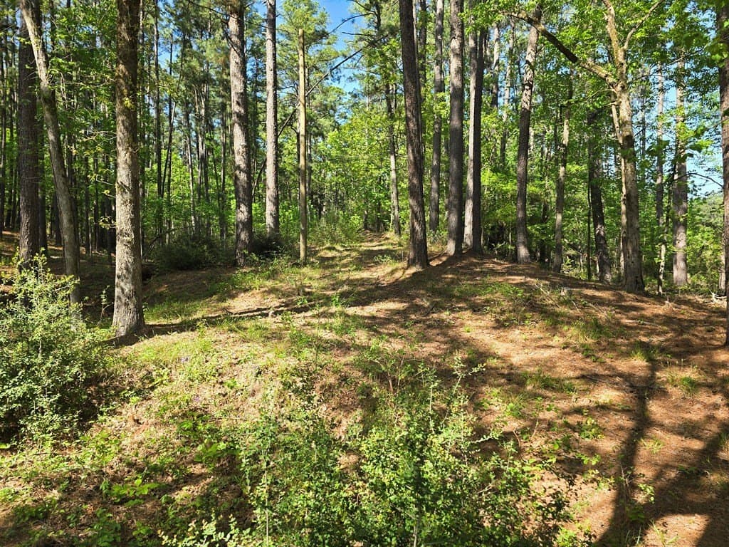 2.6 acres in ANDERSON County - photo 11