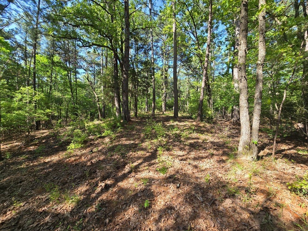 2.6 acres in ANDERSON County - photo 6