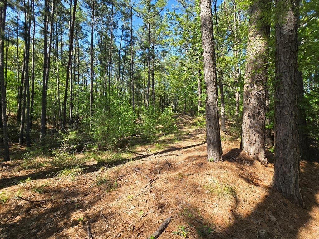 2.6 acres in ANDERSON County - photo 2