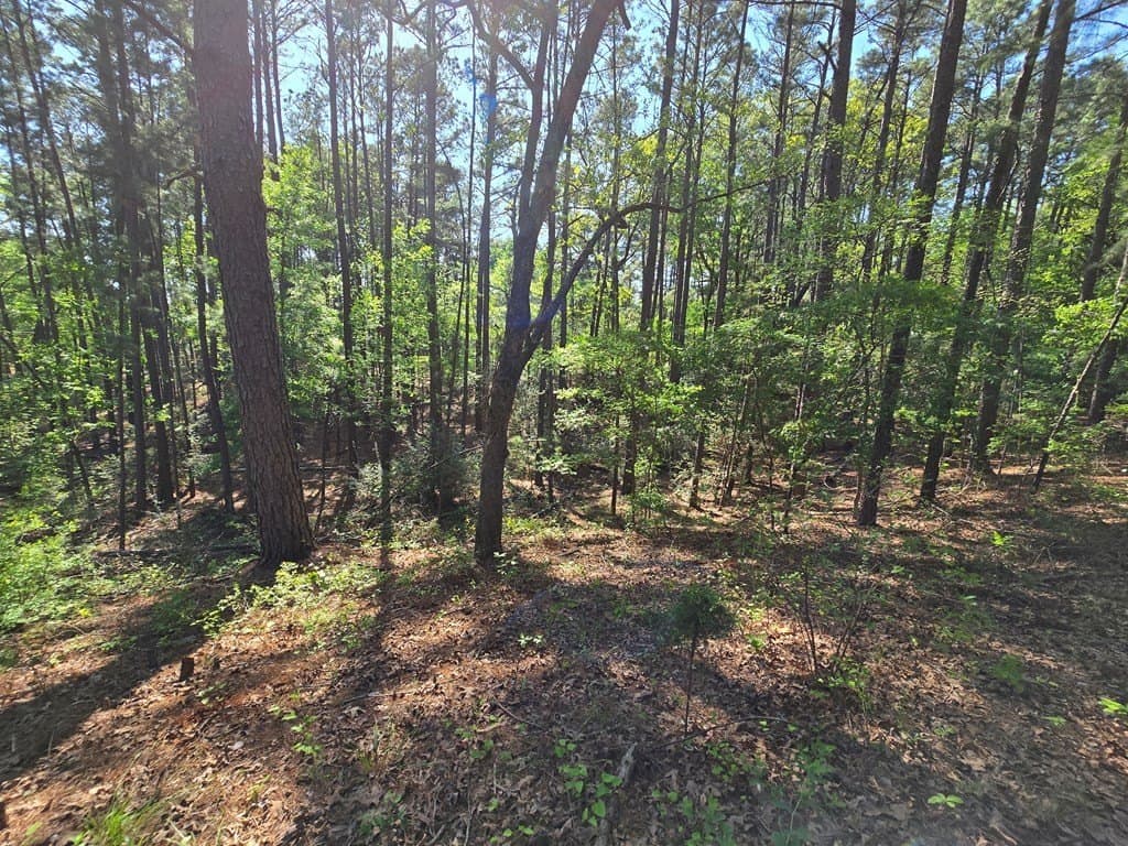 2.6 acres in ANDERSON County - photo 12