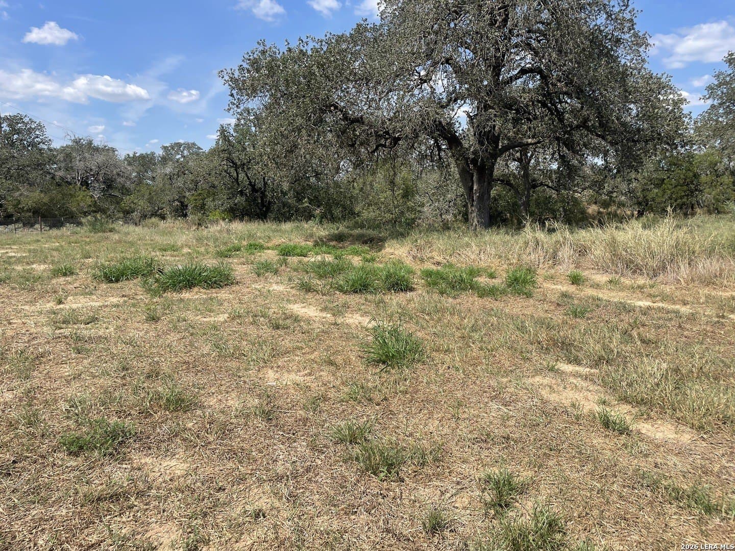 2.45 acres in Wilson County - photo 2
