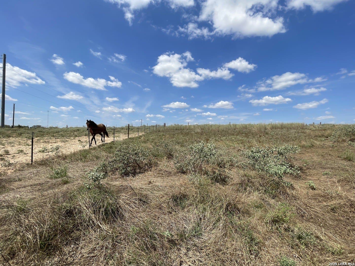 2.45 acres in Wilson County - photo 4