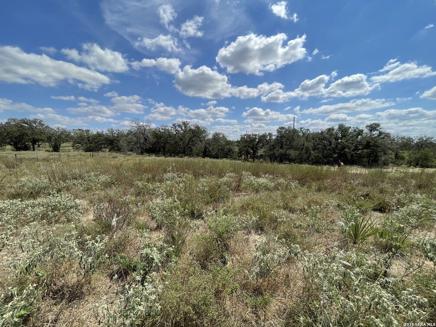 2.45 acres in Wilson County