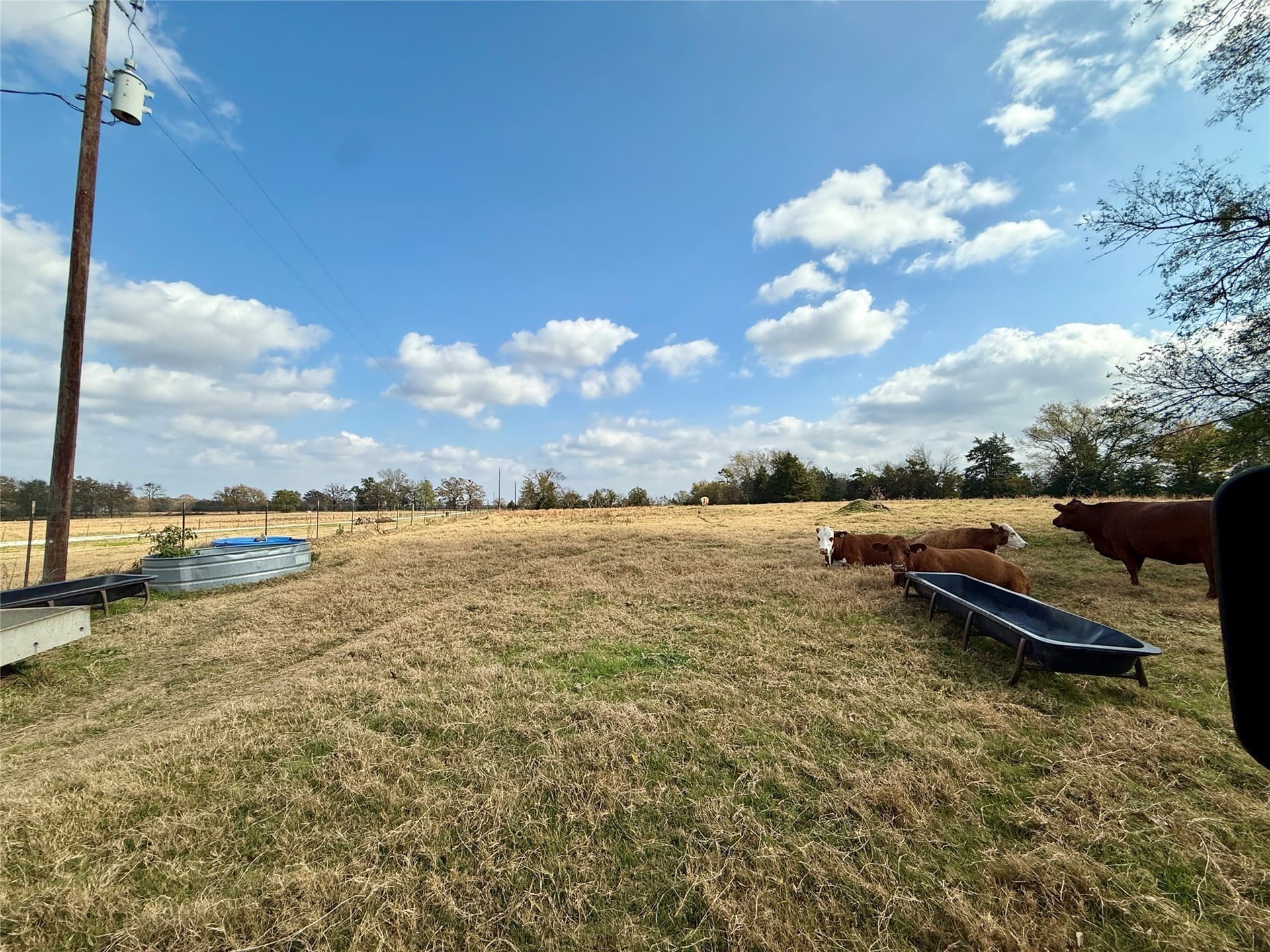 14.1 acres in Hopkins County - photo 5