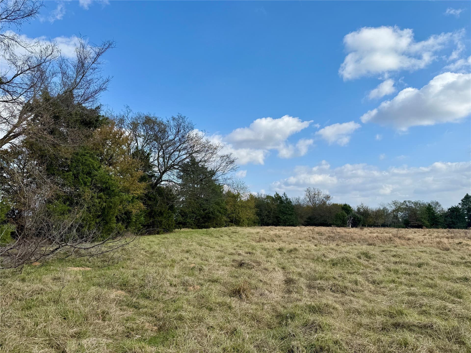 14.1 acres in Hopkins County - photo 9
