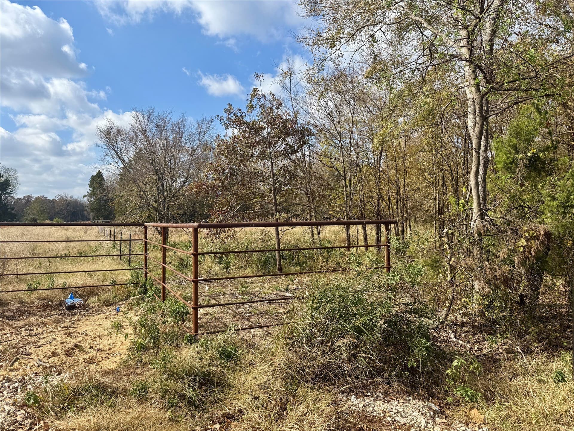 14.1 acres in Hopkins County - photo 20