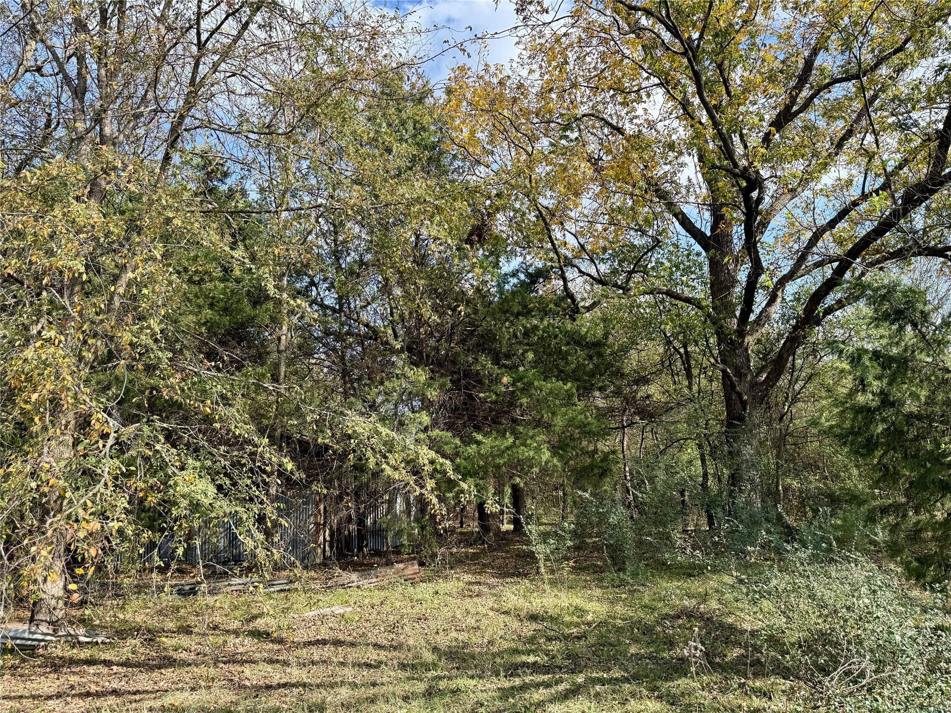 14.1 acres in Hopkins County - photo 15