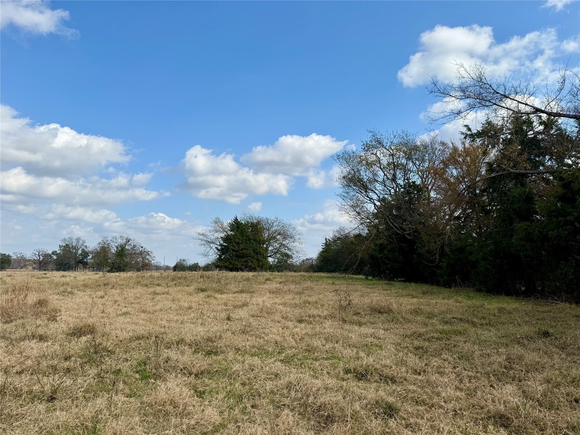 14.1 acres in Hopkins County - photo 8
