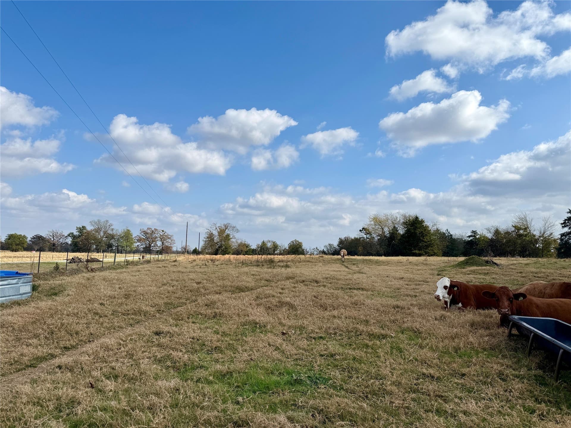 14.1 acres in Hopkins County - photo 6