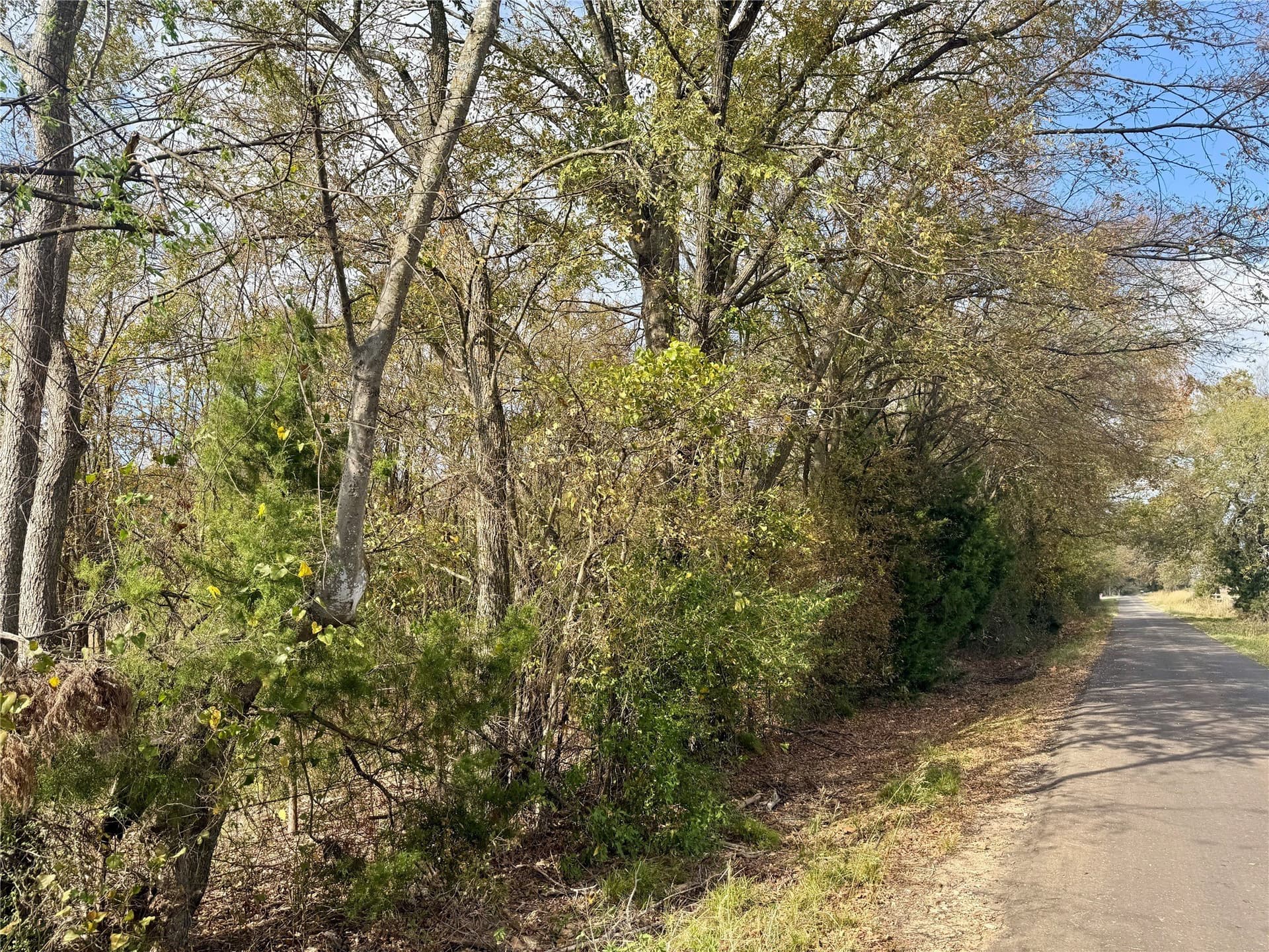 14.1 acres in Hopkins County - photo 21