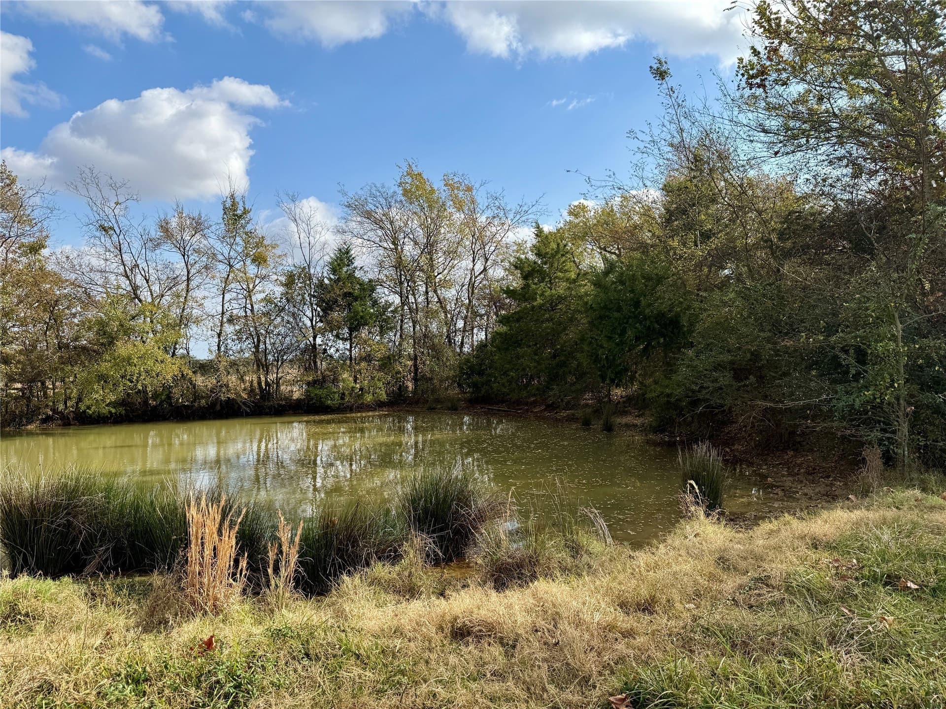 14.1 acres in Hopkins County - photo 12