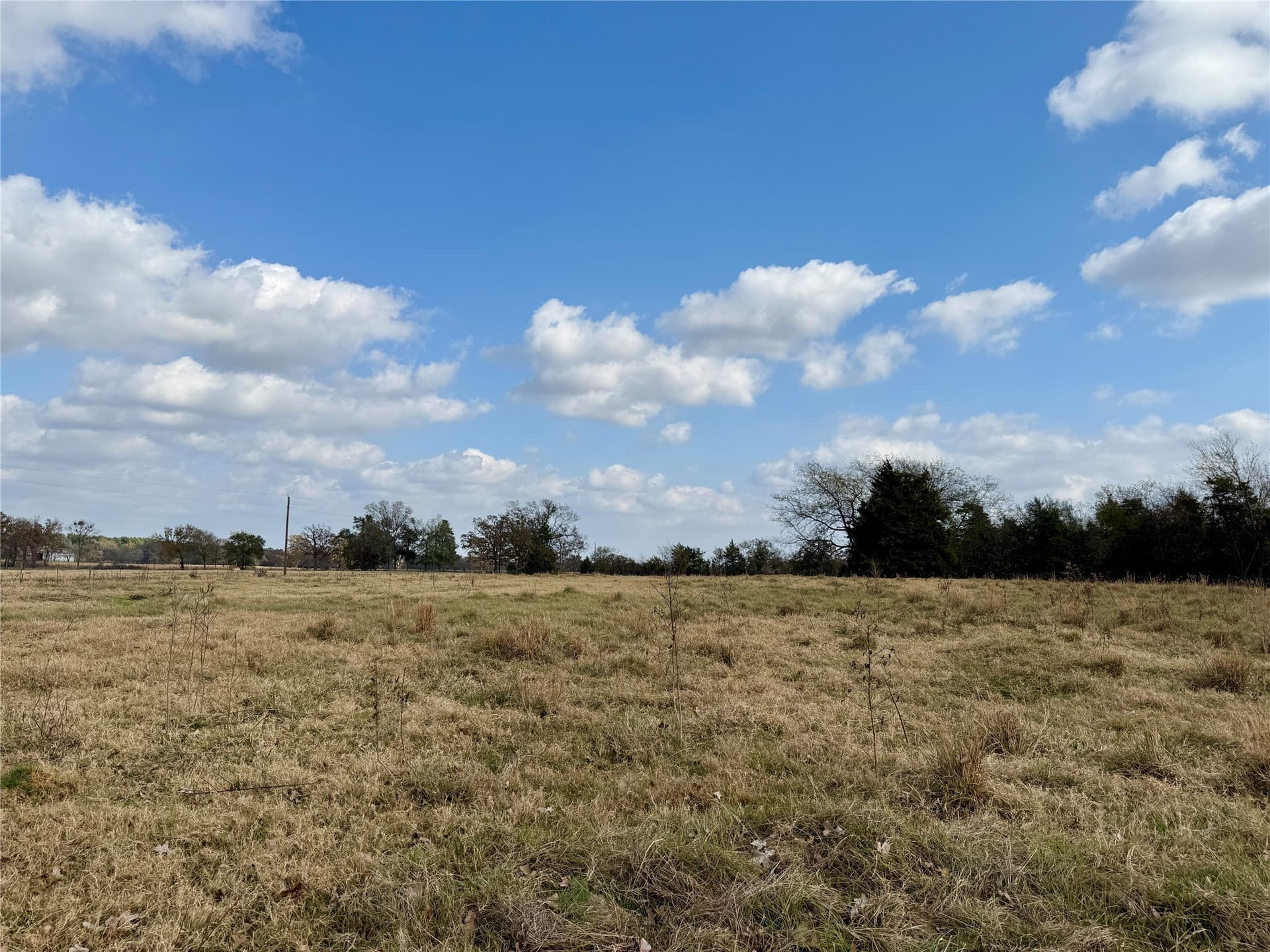 14.1 acres in Hopkins County - photo 7