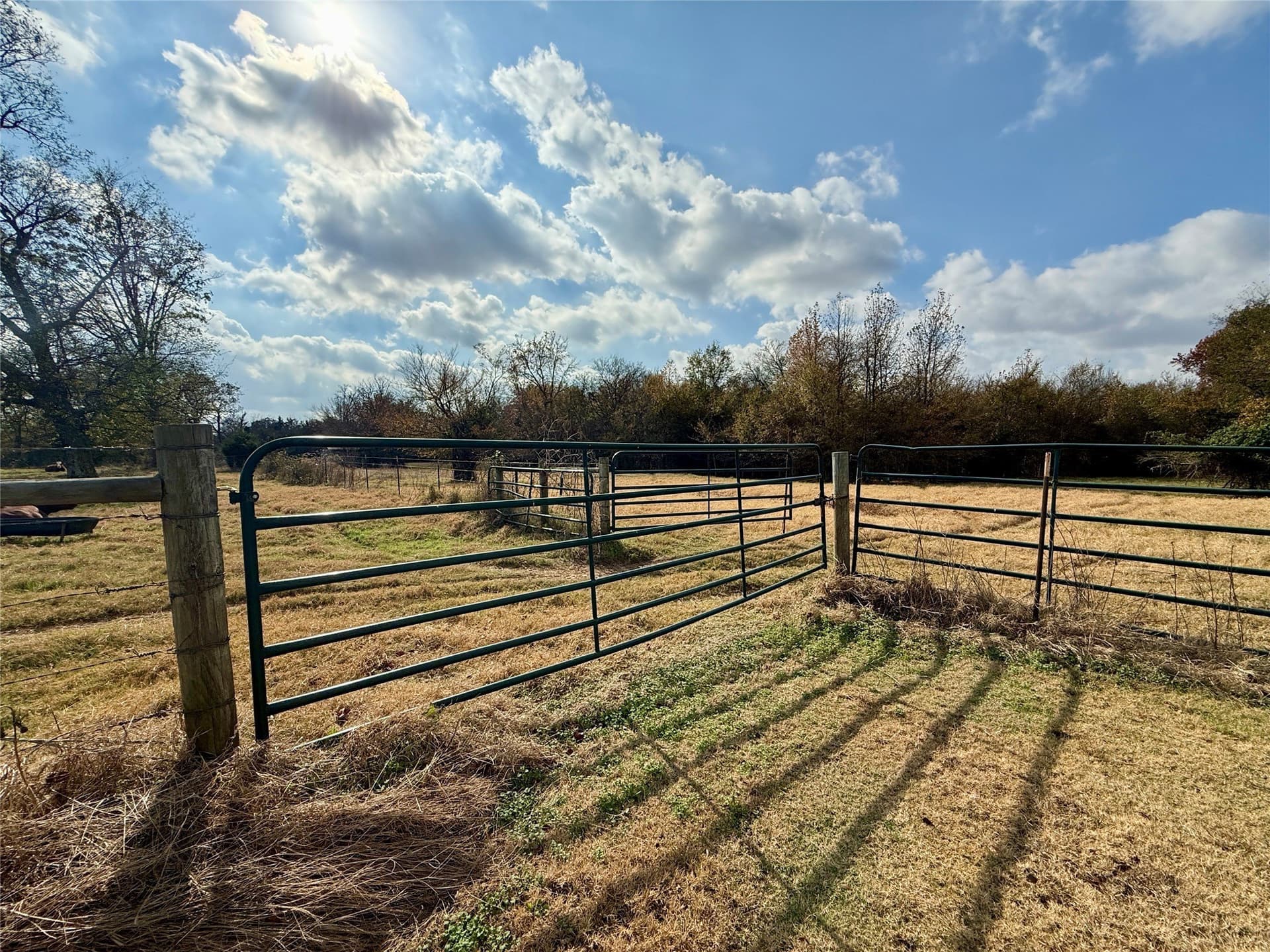 14.1 acres in Hopkins County - photo 4
