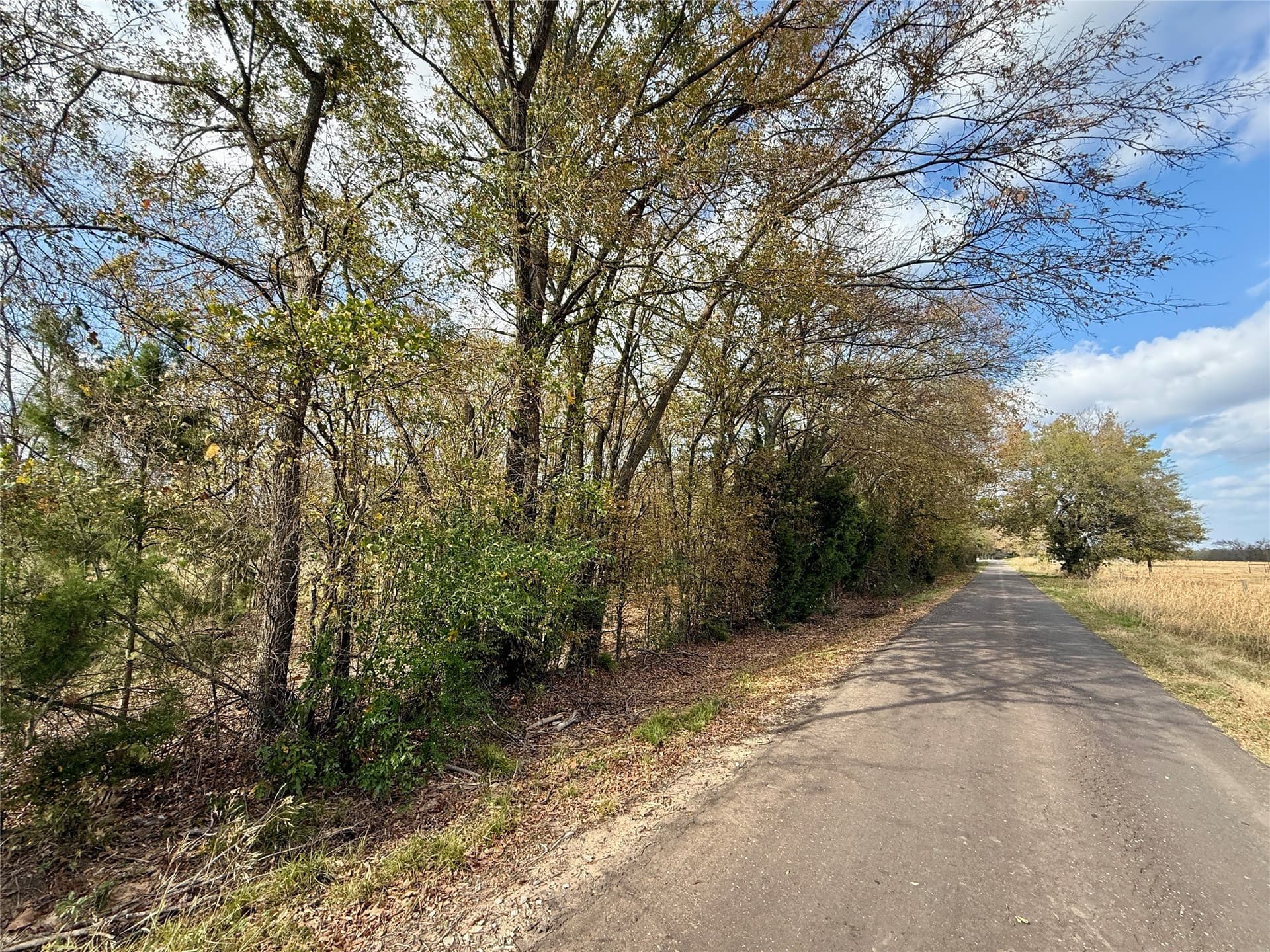 14.1 acres in Hopkins County - photo 22