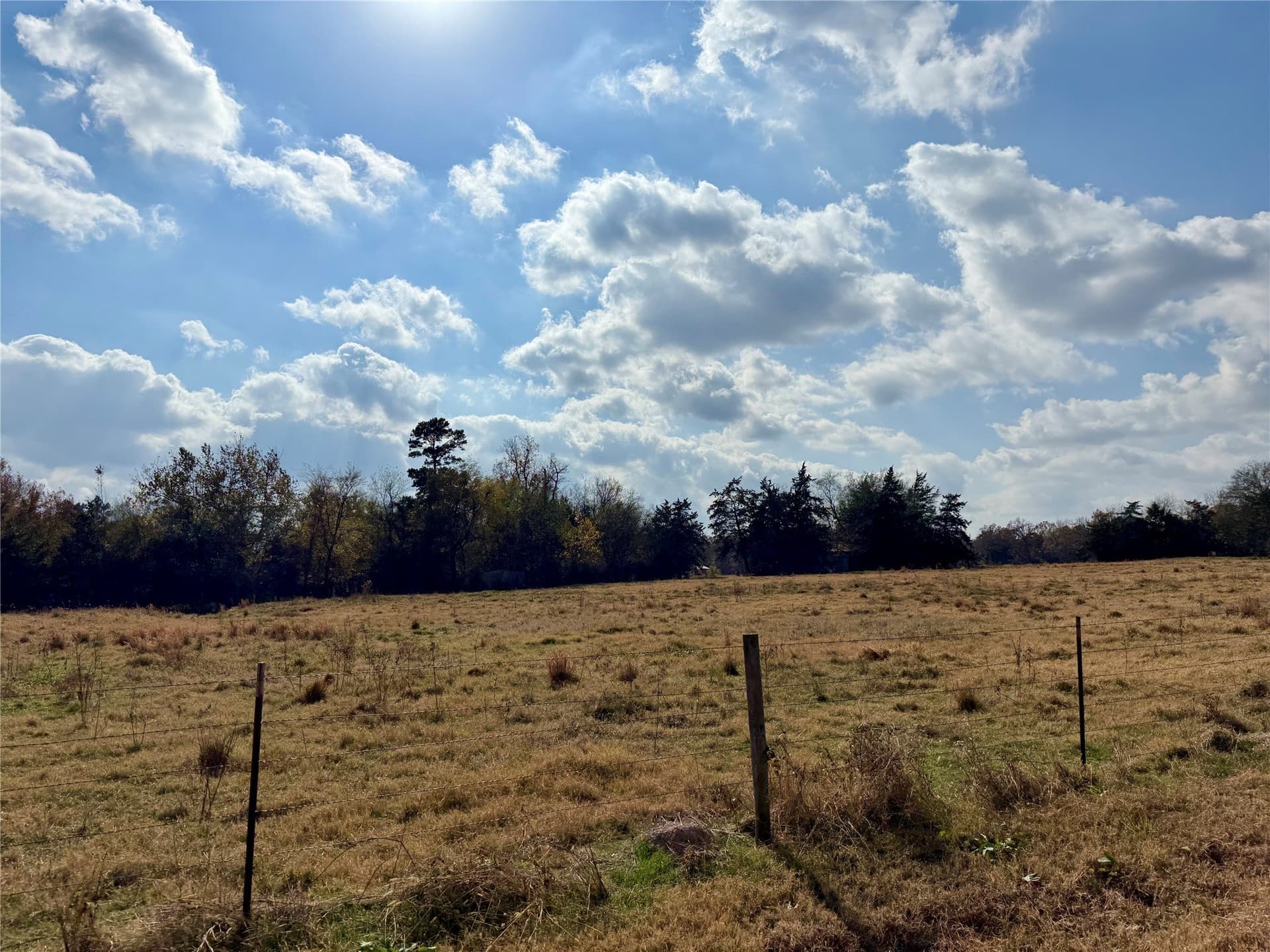 14.1 acres in Hopkins County - photo 2