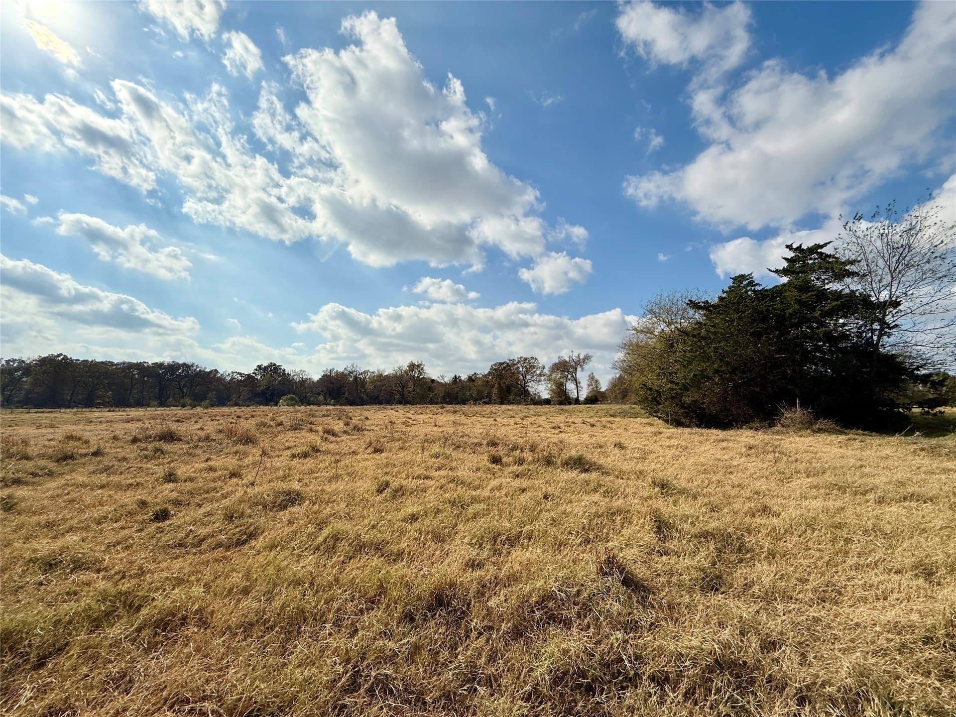 14.1 acres in Hopkins County - photo 17