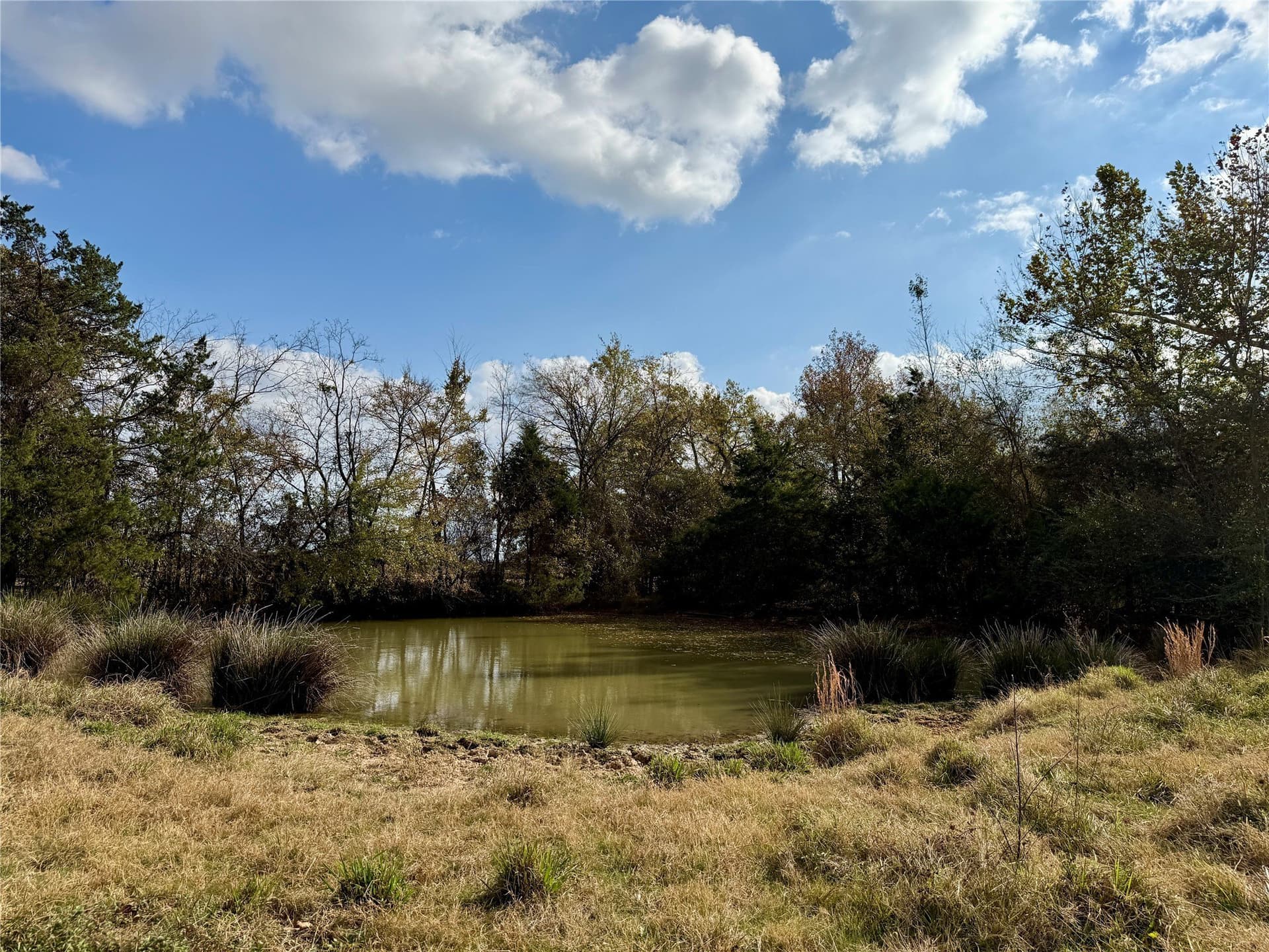 14.1 acres in Hopkins County - photo 14