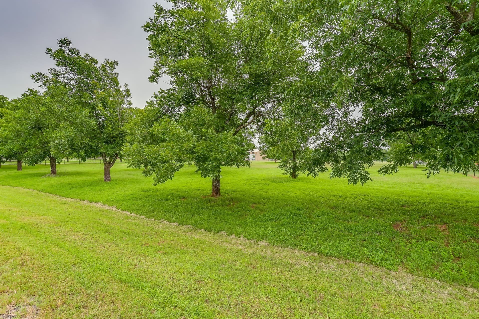 2.01 acres in Hood County gallery image 2