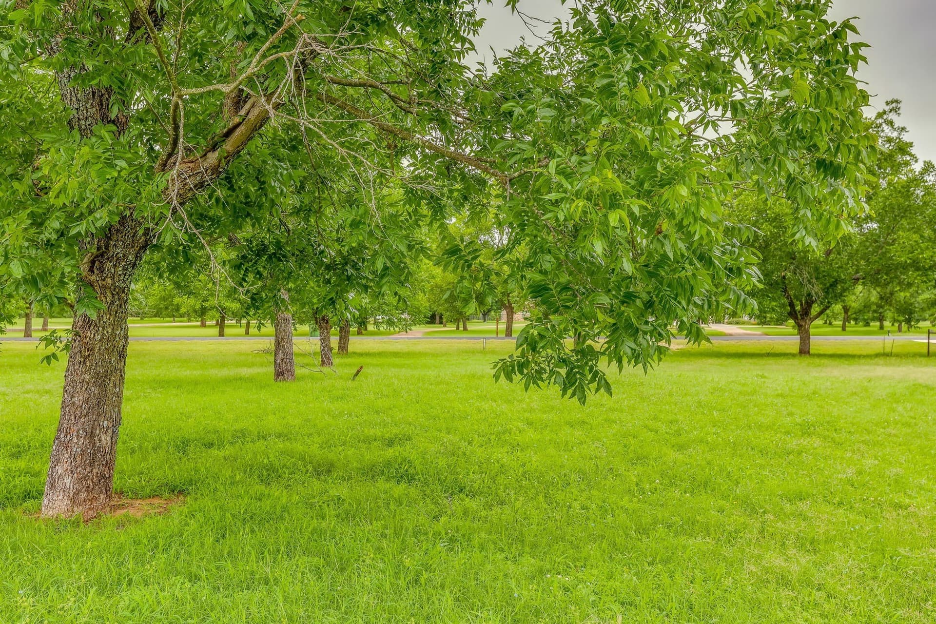 2.01 acres in Hood County - photo 12