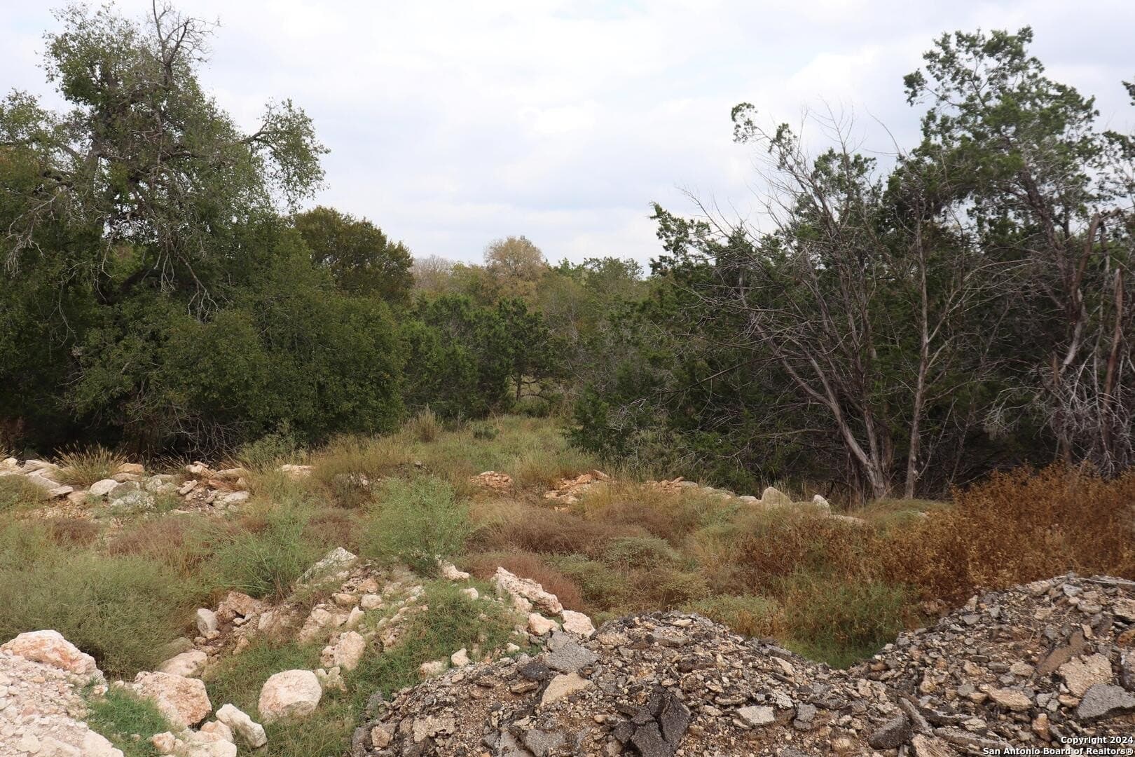 0.2 acres in Hays County - photo 17