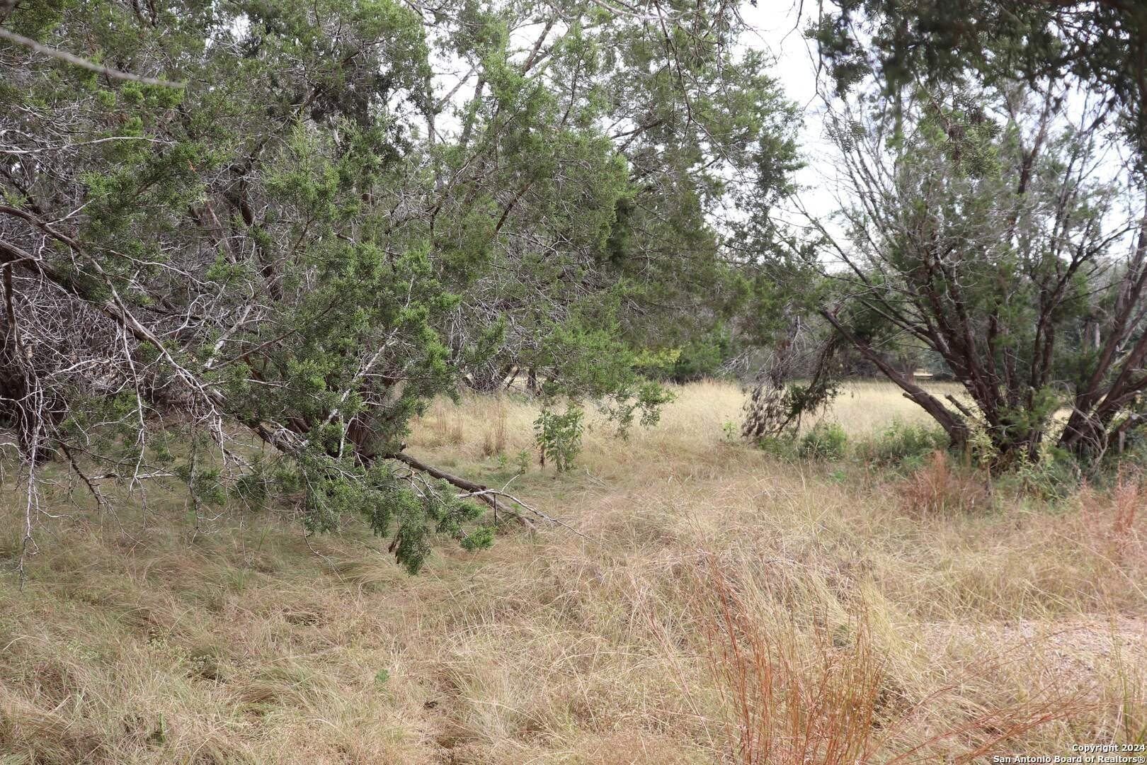 0.2 acres in Hays County - photo 14