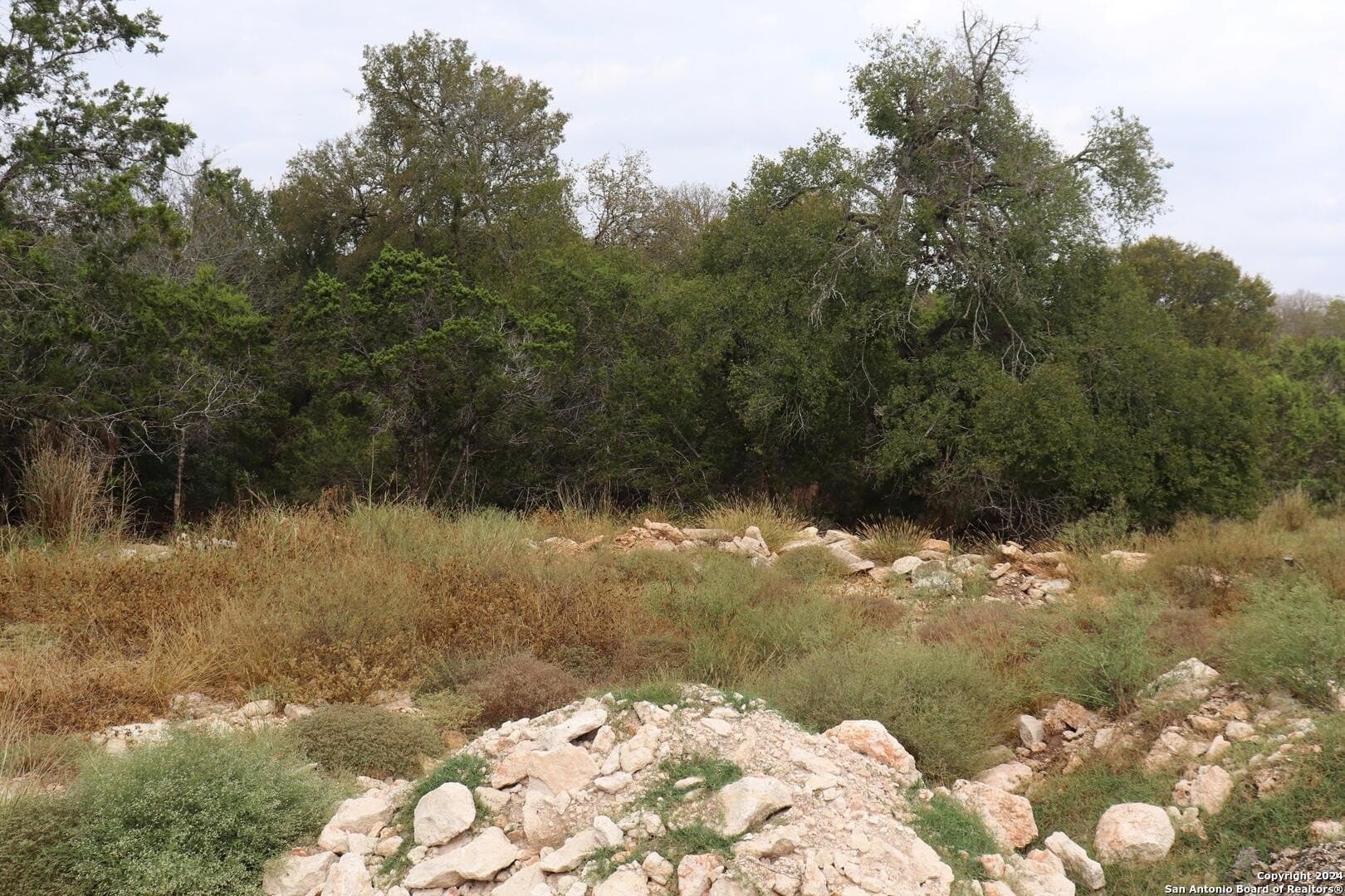0.2 acres in Hays County - photo 22