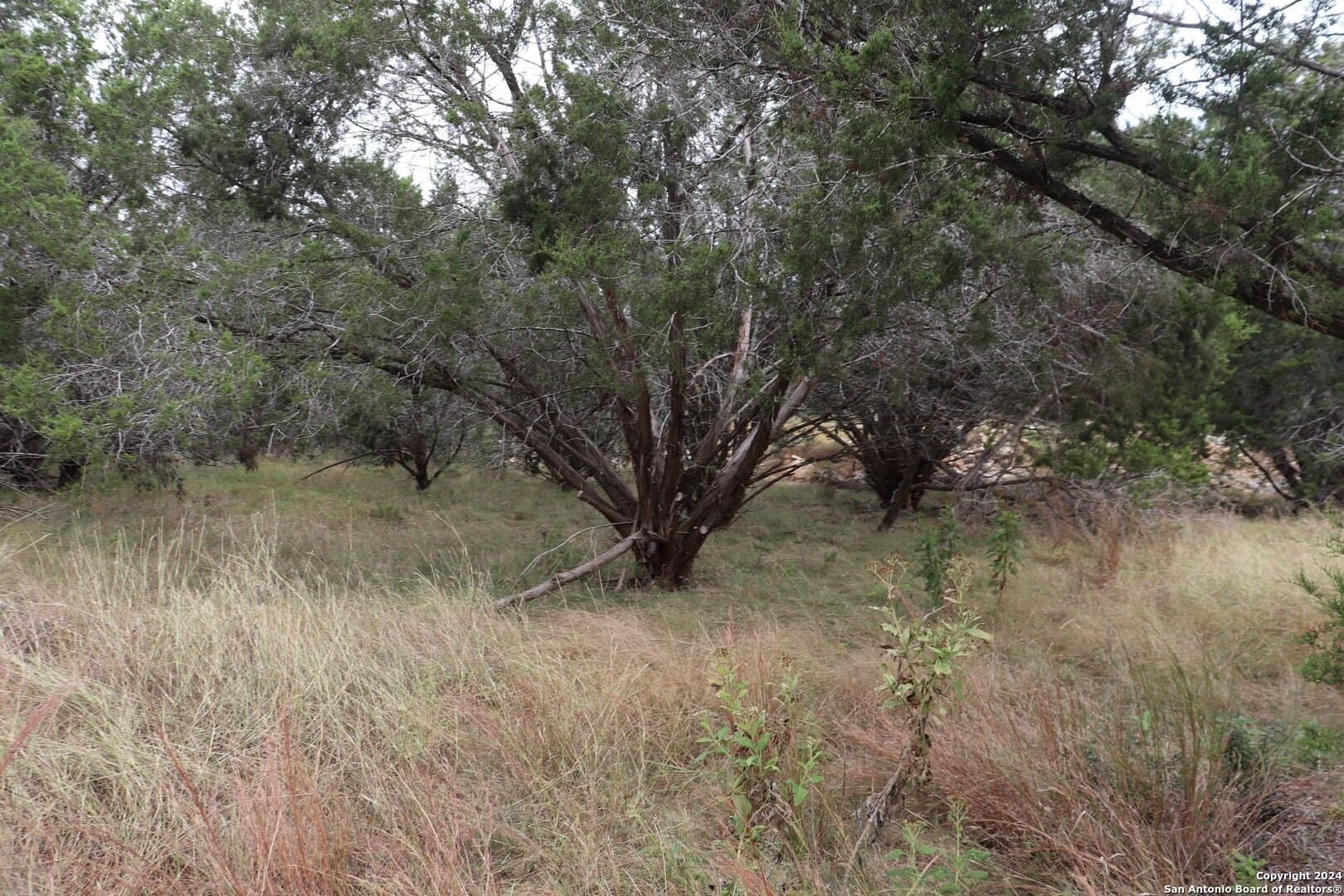 0.2 acres in Hays County - photo 6