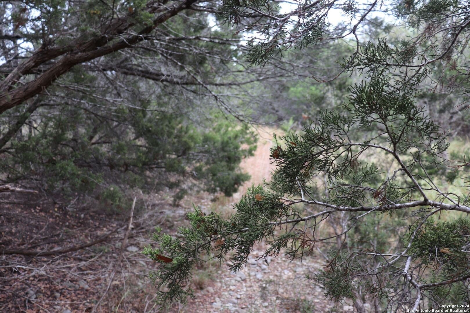0.2 acres in Hays County - photo 7