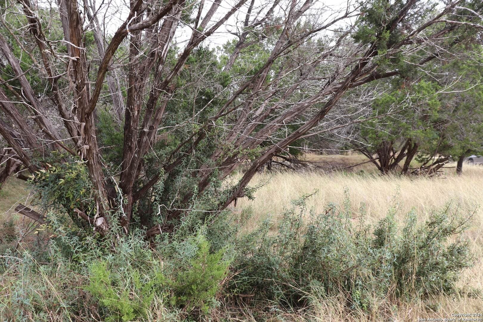 0.2 acres in Hays County - photo 13