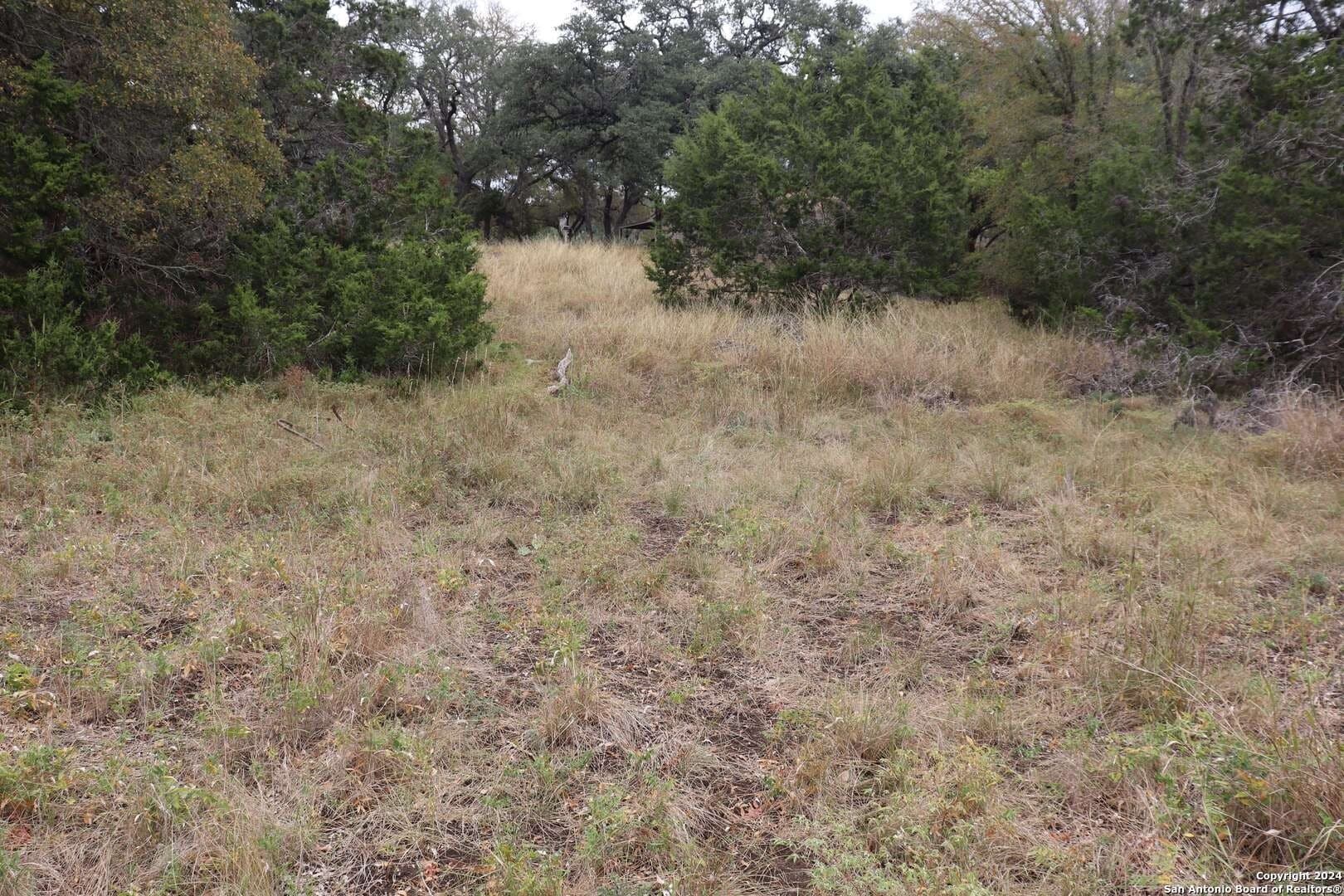 0.2 acres in Hays County gallery image 4