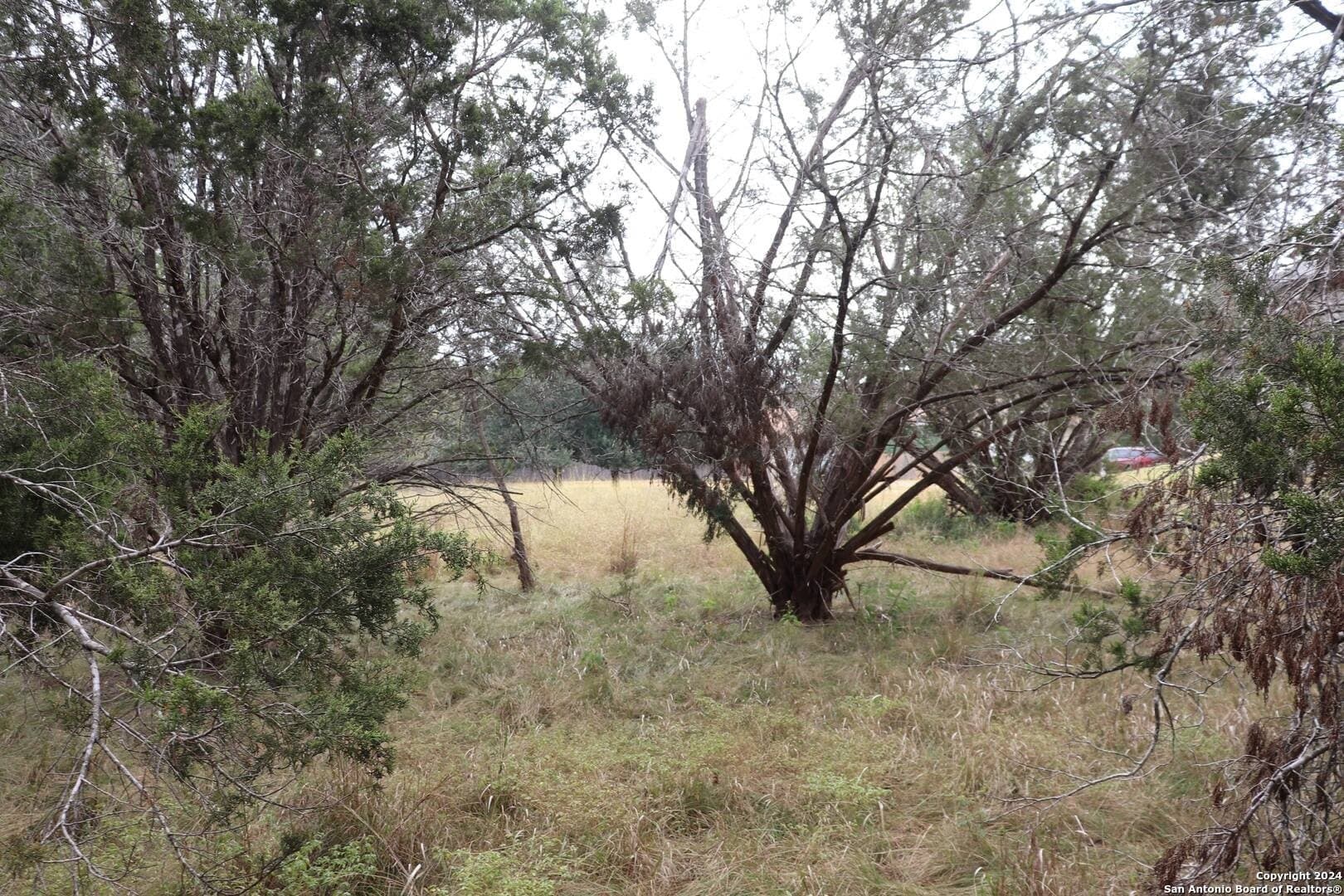 0.2 acres in Hays County - photo 15