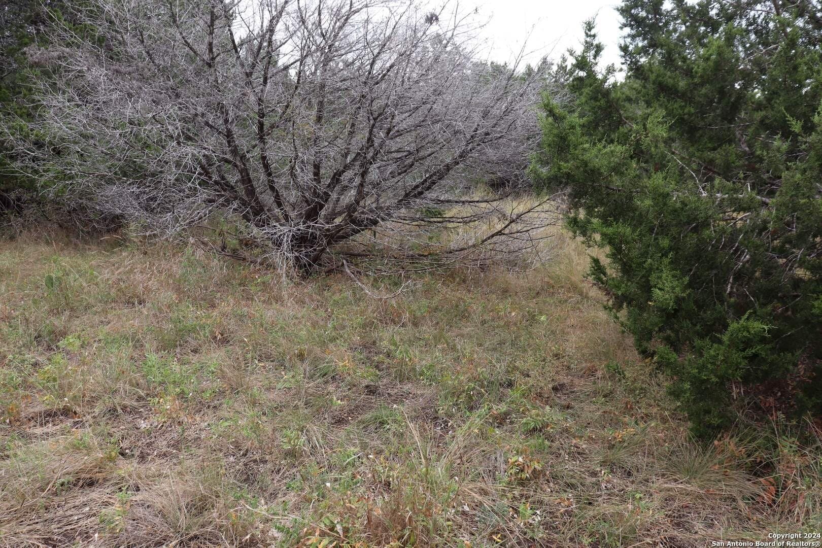 0.2 acres in Hays County - photo 10