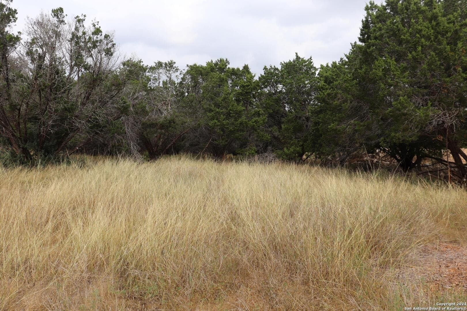0.2 acres in Hays County - photo 12