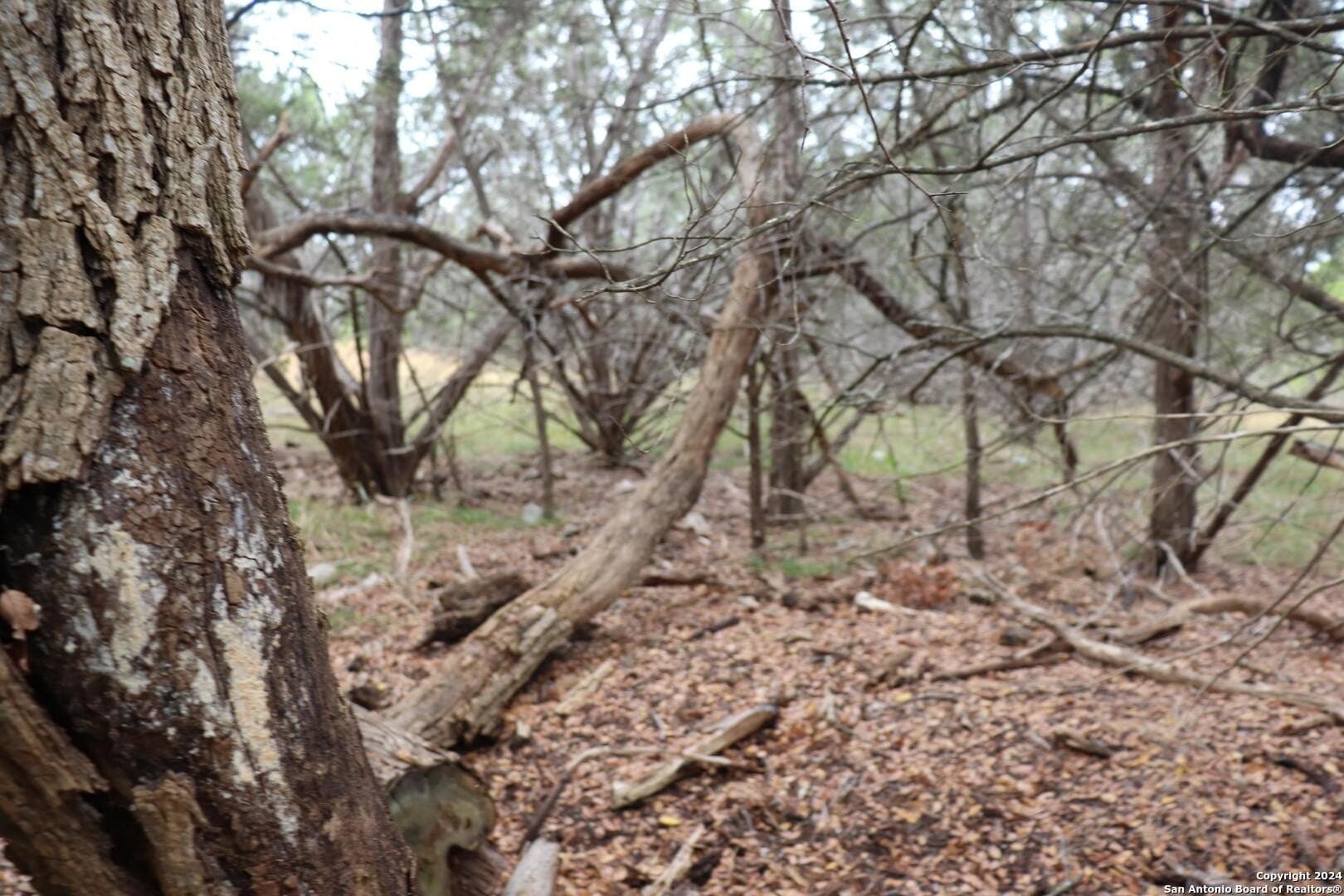 0.2 acres in Hays County - photo 9