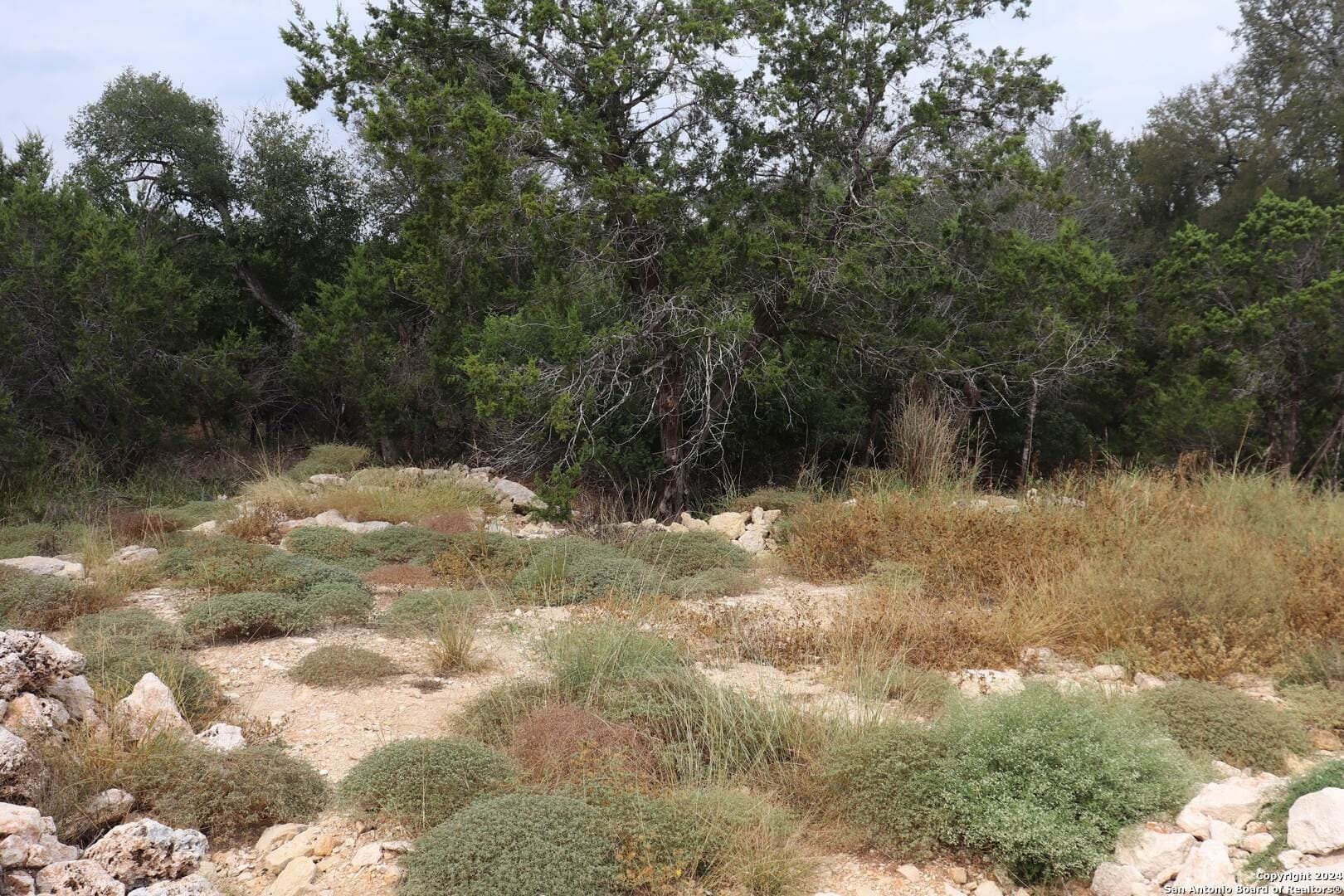 0.2 acres in Hays County - photo 16