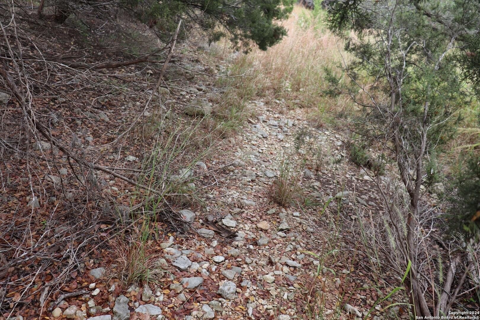 0.2 acres in Hays County - photo 8