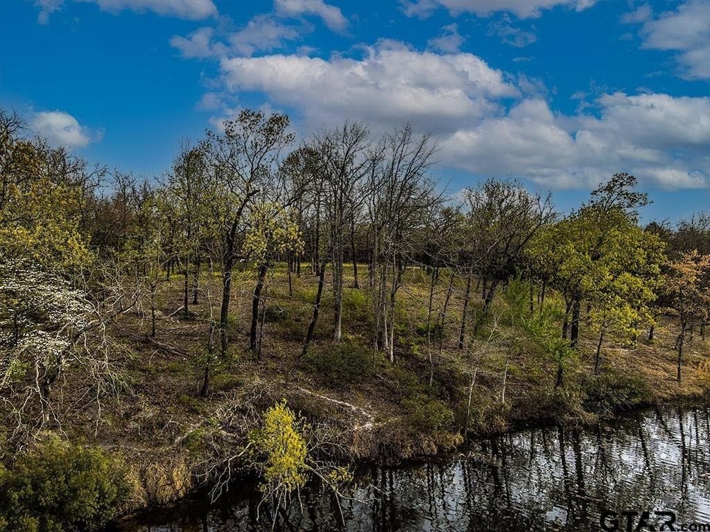 2.05 acres in Henderson County gallery image 2